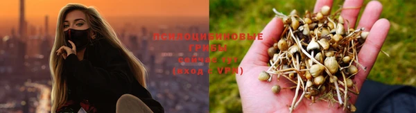 трава Балахна