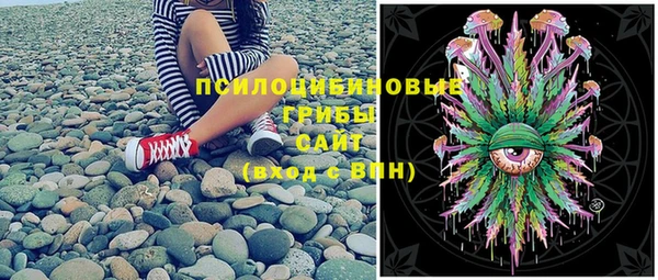СК Россошь